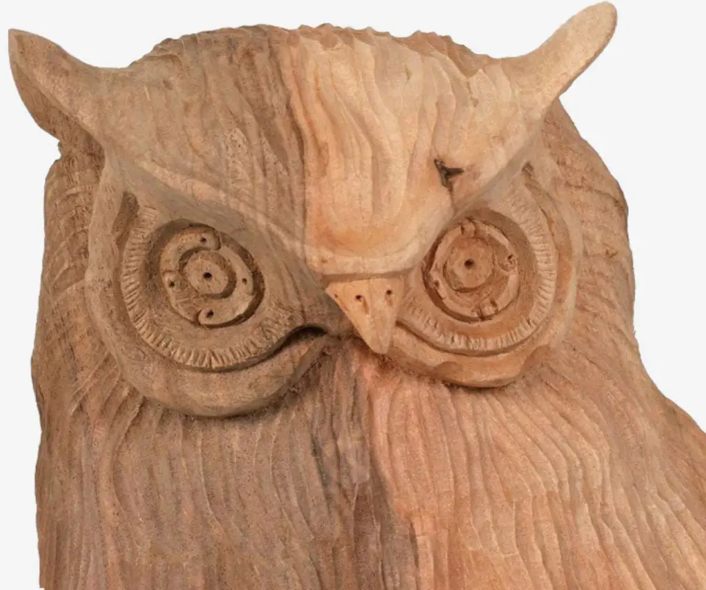 Screenshot 2025-06-05 at 12.32.31 PM.webp